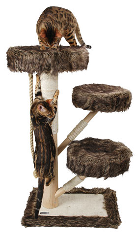 Penjalica za mačke grebalica za mačke, pet program, kućica za mačke, kućice za mačke, grebalice za mačke, grabalica za mačke grabalica za mačku, kućica za mačku, poligon za mačke, poligon za mačku, krevet za mačke, krevet za mačku, skrivalica za mačku, skrivalica za mačke, GREBALICE NOVI SAD, GREBALICE ZA MAČKE NOVI SAD, GREBALICE BEOGRAD, grebalice za mačke beograd,