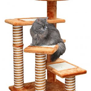 grebalica za mačke, pet program, kućica za mačke, kućice za mačke, grebalice za mačke, grabalica za mačke grabalica za mačku, kućica za mačku, poligon za mačke, poligon za mačku, krevet za mačke, krevet za mačku, skrivalica za mačku, skrivalica za mačke, GREBALICE NOVI SAD, GREBALICE ZA MAČKE NOVI SAD, GREBALICE BEOGRAD, grebalice za mačke beograd,
